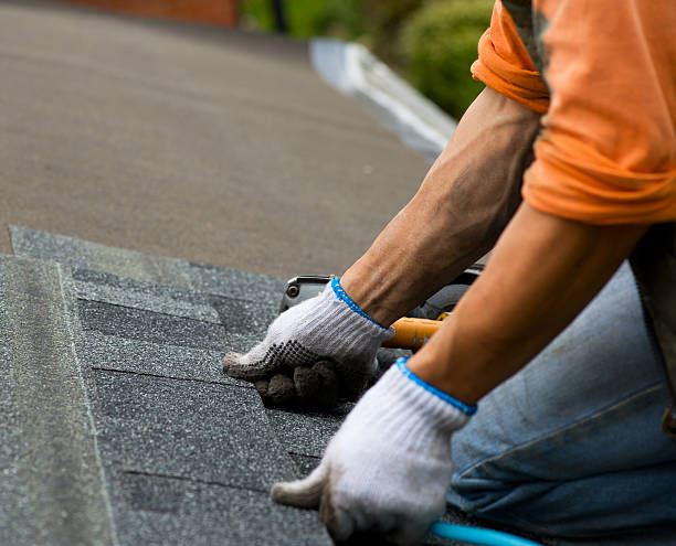 Quick and Trustworthy Emergency Roof Repair Services in Wayne, IL