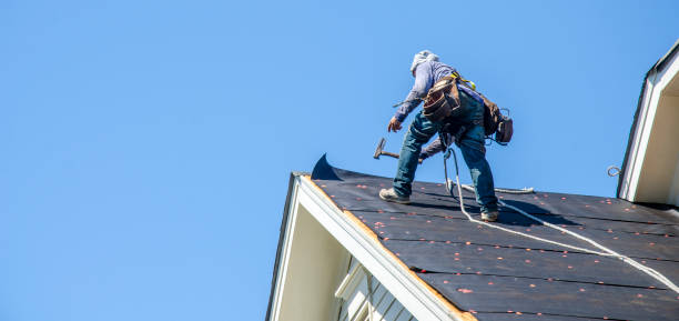 Best Storm Damage Roof Repair  in Wayne, IL